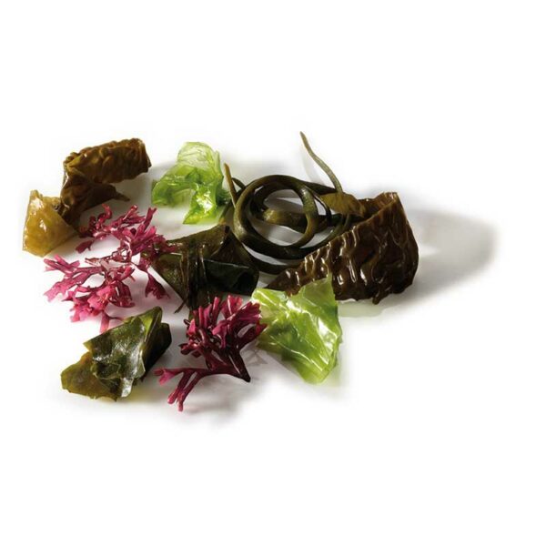 Porto Minos – 3 Seaweed Mix 25gr